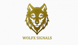 Wolfx Signals